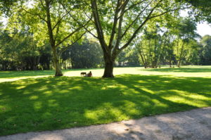 Im Sommer..., Foto: Wolfgang Kurtz, CC-BY-SA-3.0